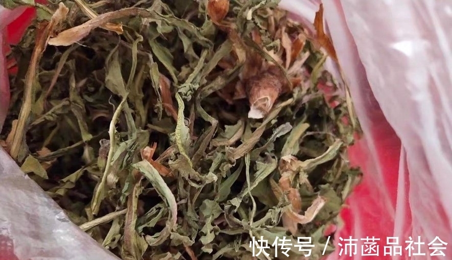 我妈|天然“青霉素”被找到，隔三岔五吃，杀菌消炎防感冒，别不懂吃