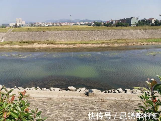 都说大降温不适合钓鱼,有人却在偷偷“发财”,实战才是王道