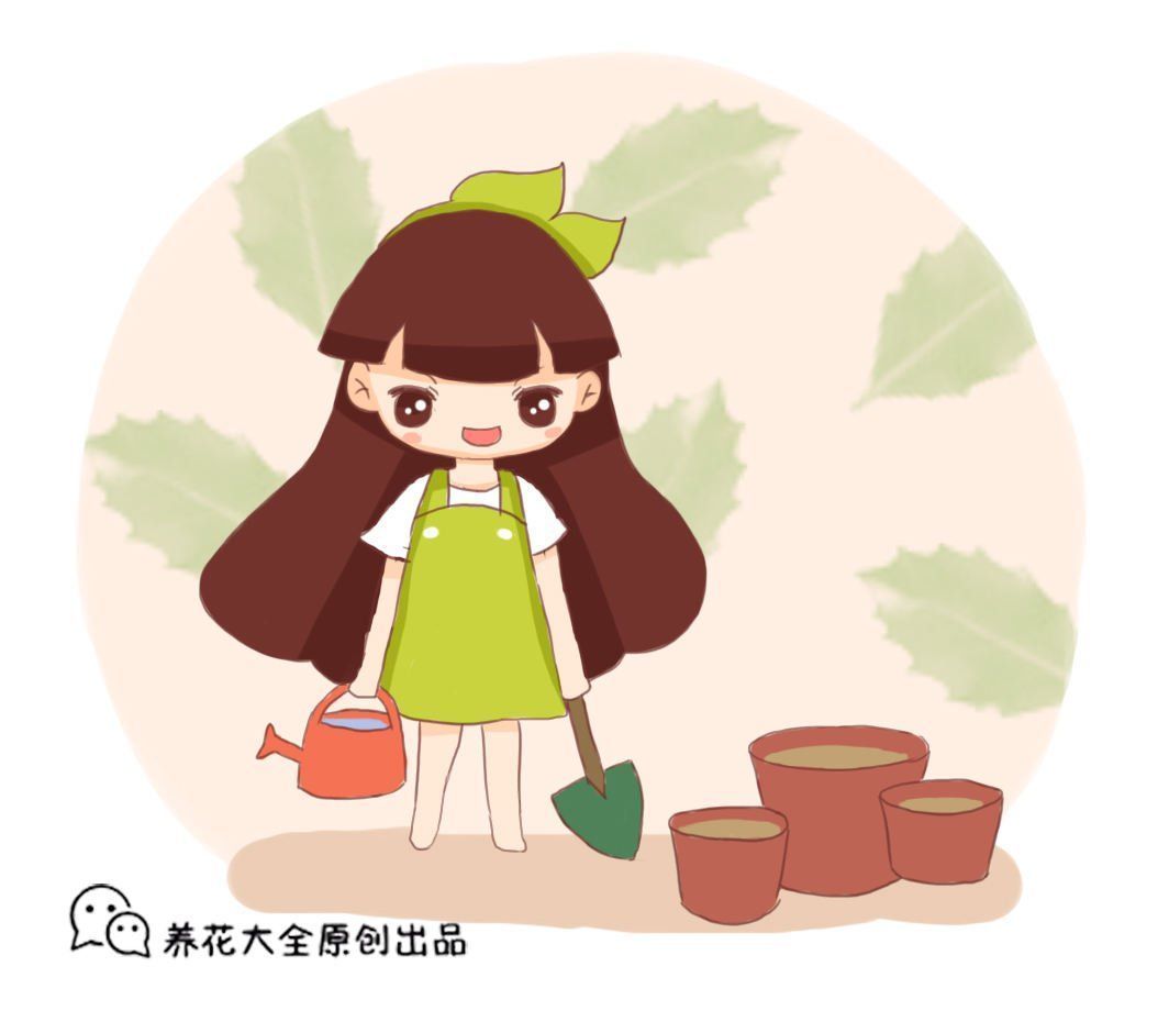 养花肥料花多多，种类多到数不清？这4种就够用了