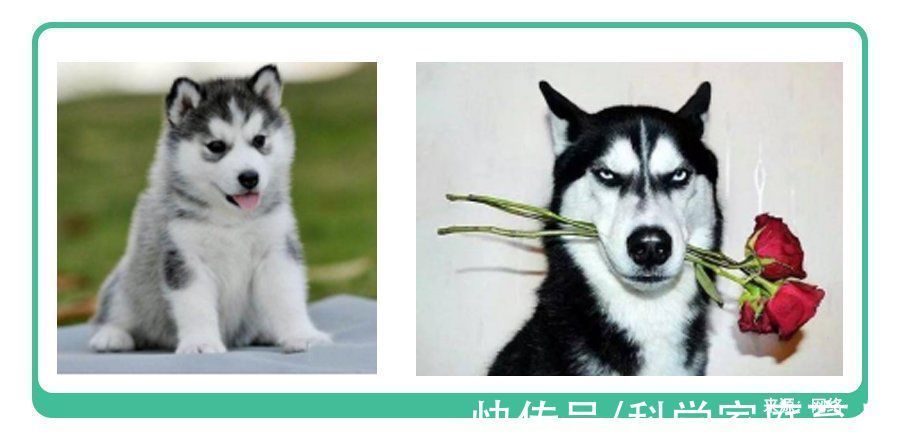 二胎|新型“偏心”正在二胎家庭流行,父母没有察觉,却伤大宝最深