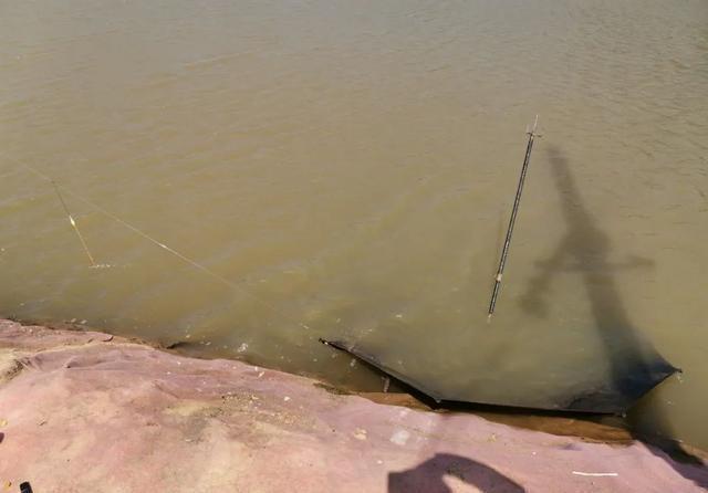 理想中的钓鱼VS现实中的钓鱼,新手看懵圈,老手看得扎心