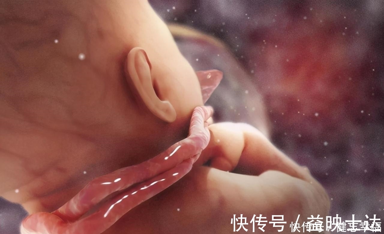 宝妈|孕检时宝宝脐带绕颈一周,孕妈担心询问,医生的回答却很淡定