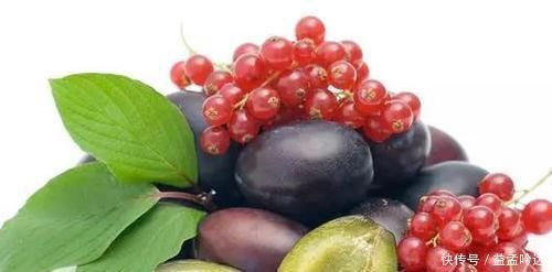 黄芪|降四高的“处方”高血压、高血脂、高血糖、高尿酸,收藏好