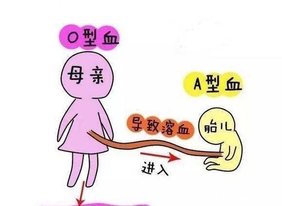o型血|妈妈是这种血型,生出来的孩子自带5大优势,男孩儿更明显