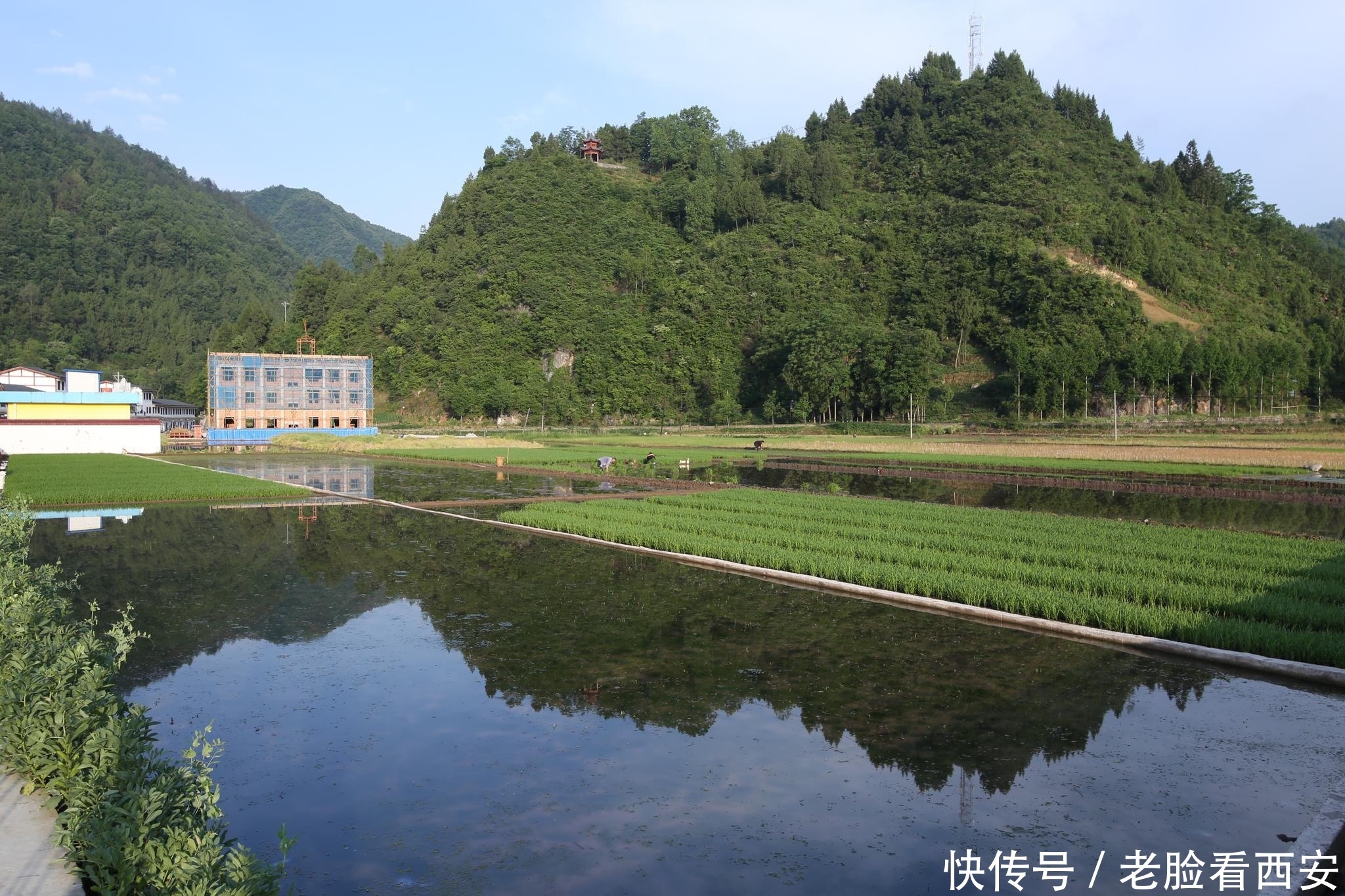 竹竿舞|原汁原味原生态 山美水美人朴实 一处去了就有印象的地方——镇巴