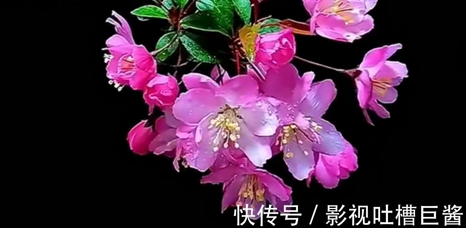 除夕夜&陆游在除夕夜举杯未饮先作诗,窗外大雪纷飞,屋内灯火暖暖