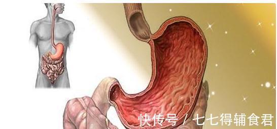 空腹|患了萎缩性胃炎、肠化怎么办,饮食上要注意什么!