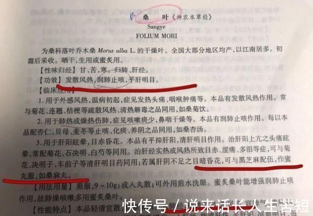 阳亢|一味桑叶补骨髓，止盗汗，清肝明目润肺止咳就看你会不会用