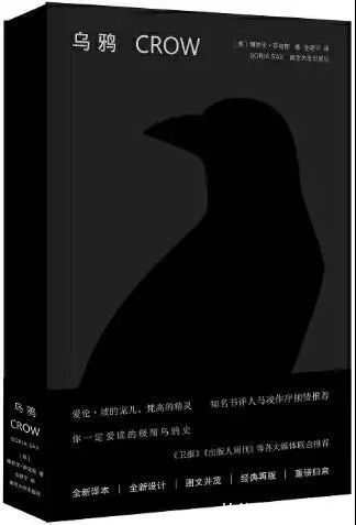 天才译者|“天才译者”金晓宇上热搜后，他翻译的图书已断货