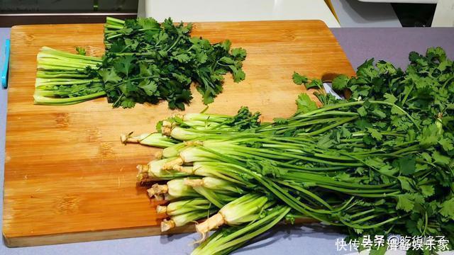 刚知道,香菜要这样保存,随吃随取,和刚买的一样新鲜,特简单