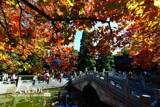 香山|北京：香山赏红叶