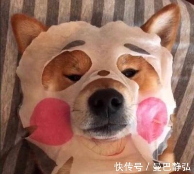 |搞笑动物:去了一趟非洲回来之后,我就变成了一只超黑的狗狗了!