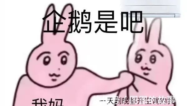 任务管理器|为什么最近很多人在给两只魔性的粉色兔子P图?