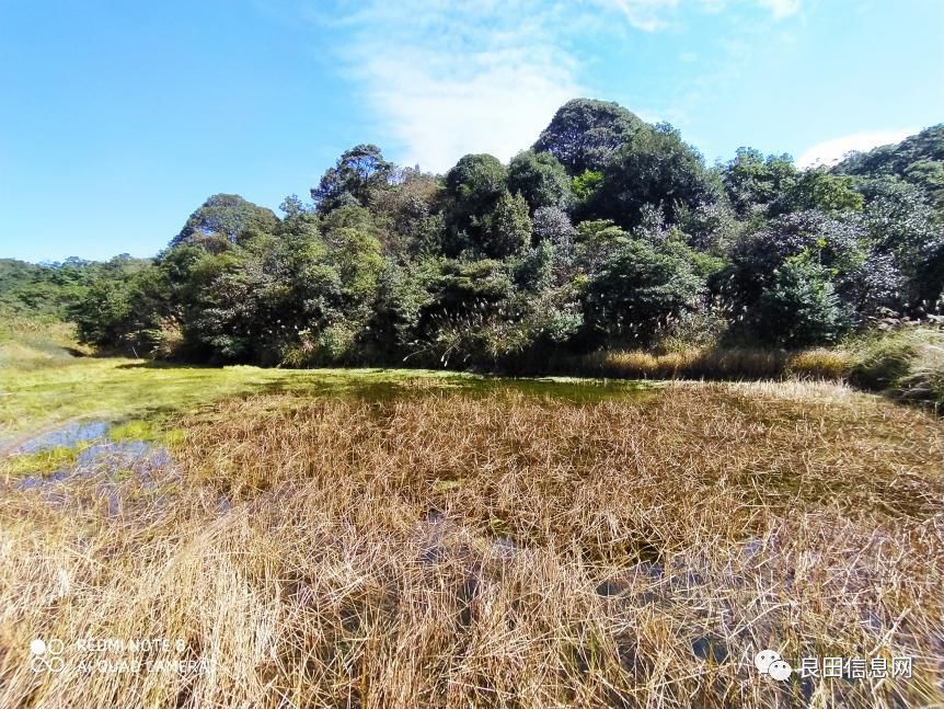 高峰|探寻揭西第一高峰附近的仙人塘古庵遗址