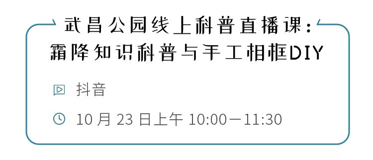 大课堂！有活动！霜降，公园大课堂喊孩子们来参加