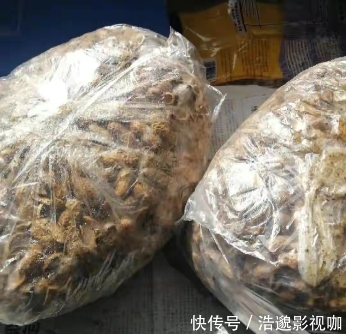 鸡蛋壳|这些“垃圾”不要扔，用来养花“一级棒”，肥的流油，环保又省钱