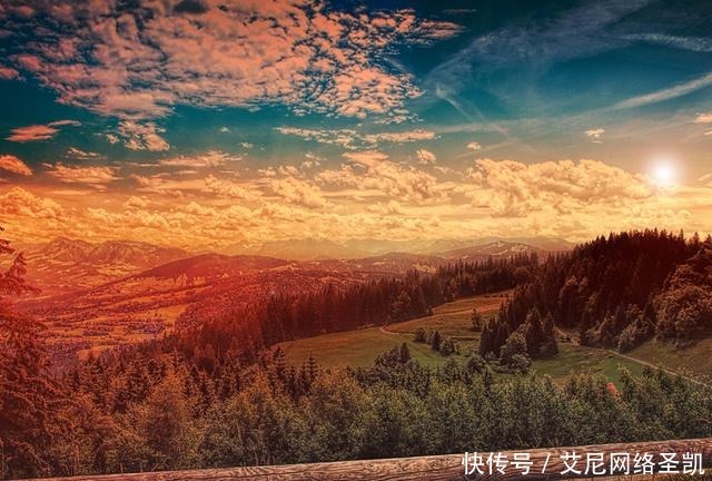 嘲笑|晚唐诗人的一首怀古诗,嘲笑秦始皇焚书,更深的绝望却在等着他