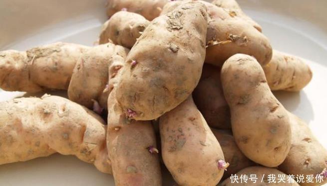 发芽|以下的六种蔬菜,奉劝你不要端上饭桌,能够忍住才可以留住健康