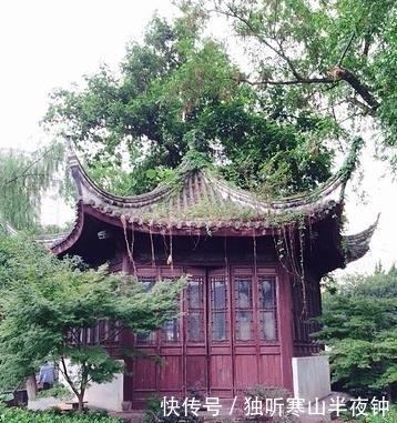 宋版书|大明王朝第一收藏热:来藏书嘛?不藏书,不是读书人!