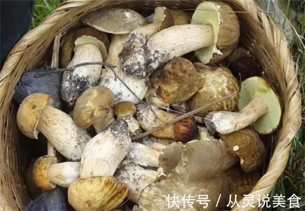 食用菌|它被列为“人类最佳饮食结构”，增肌护心脑！这样吃，养出好体魄