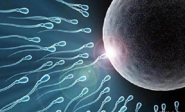 危险期|什么是“前七后八”安全期和危险期不要再弄错了,难怪怀不上