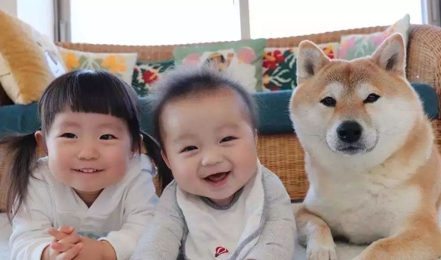 大宝|二胎“最佳年龄差”是几岁?这个数字俩娃不争不抢,家长很舒心