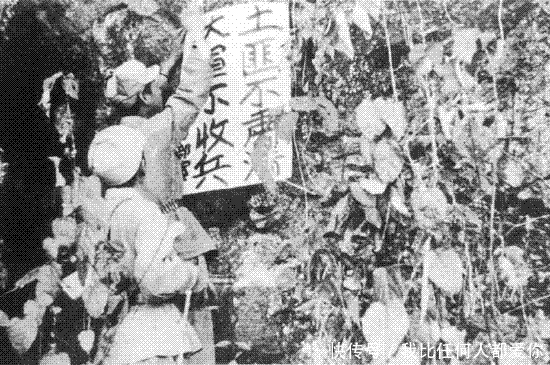 法律|中国末代悍匪:1965年动用7000人才抓到,被捕时妻子还在旁生产