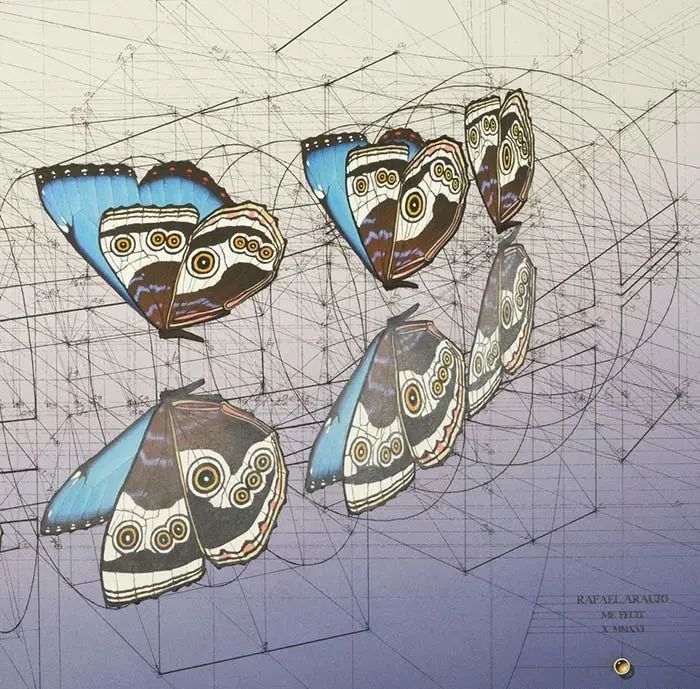 黄金比例!理工男花40年时间,用圆规画1000张画,黄金比例的拥护者