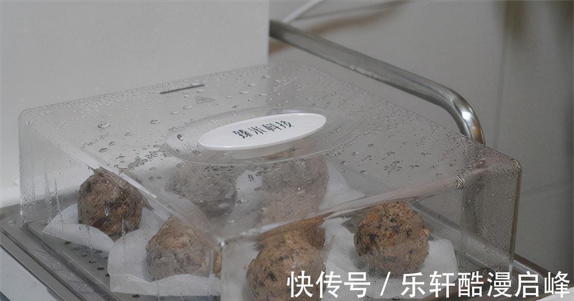 冬天怕长肉,少吃馒头多吃它,低脂瘦小腹,蛋白质最丰富!