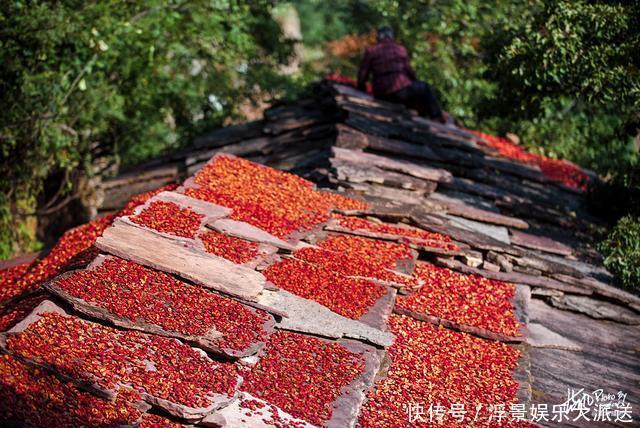 自驾|自驾林州太行大峡谷，太行天路犹如百里画廊，看层林尽染醉美秋色