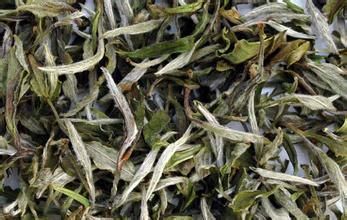 福鼎白茶白牡丹有哪些功效 白牡丹茶的功效与作用 快资讯