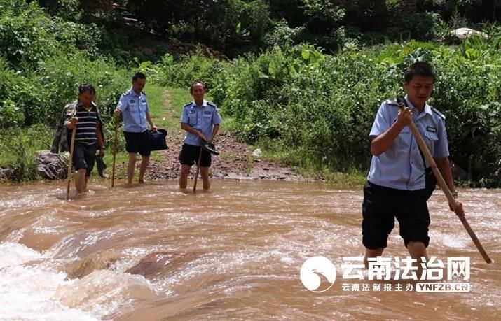 大山|大姚森警：用脚步丈量大山 做生物多样性的守护人