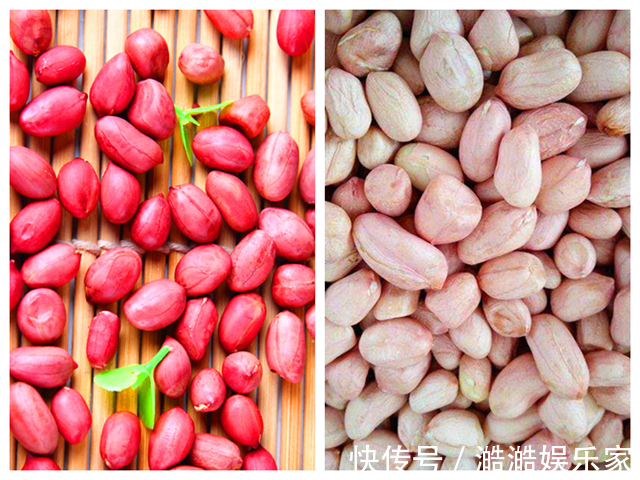 补血|同样是花生,“红皮”和“白皮”的区别这么大知道后别再瞎买了