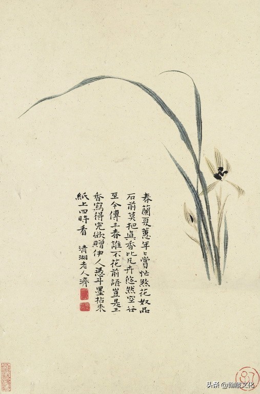 花卉册!清 石涛 《花卉册》 欣赏