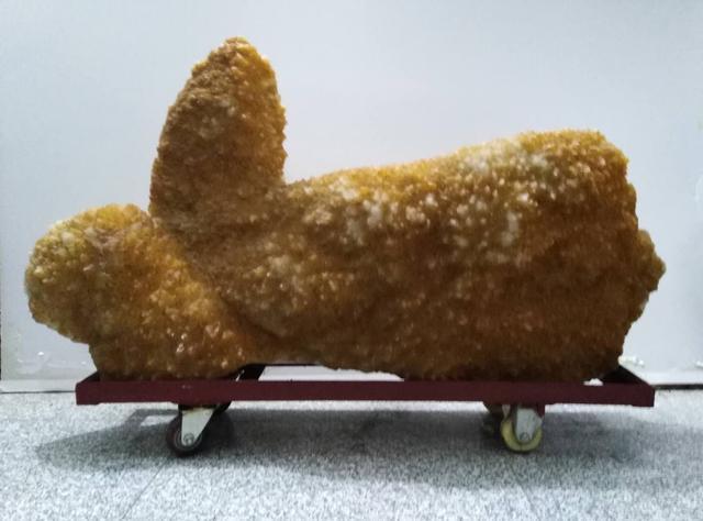 奇形怪状|家乡河里有许多奇形怪状的石头,父子俩请挖机拖了满满7车回家!