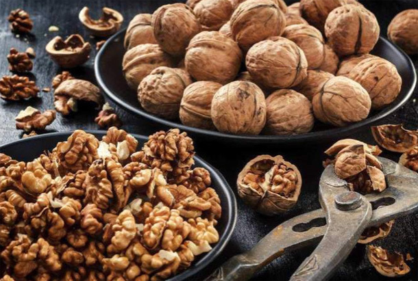 周医师|核桃被称“万岁子”“长寿果”,教你3种最营养吃法,治病保长寿