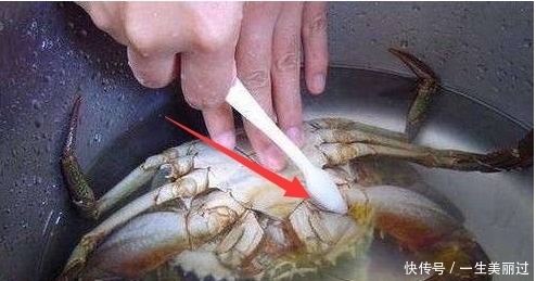 香菇|这些菜市场买回来的菜,很多人都洗错了,尤其后两种越洗越脏