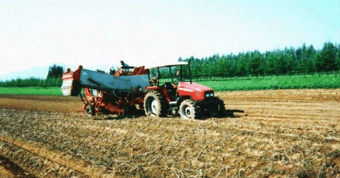 贷款买房|日本房产泡沫破灭时, 明白的一个道理, 中国也应该向他们学习!