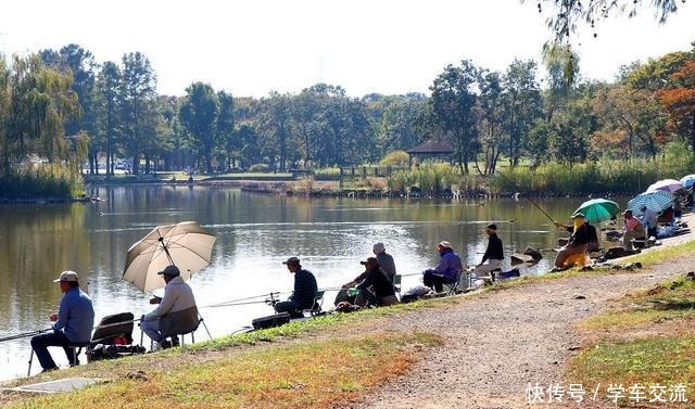 作钓|秋末初冬钓鲫鱼,做好这五点,就算新手也一样能够渔获满满!