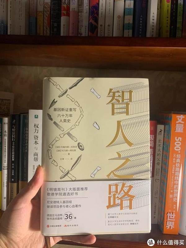 人类学|一本书，听世界级人类学专家讲述人类60万年进化史背后的例证