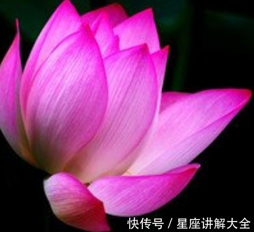 喜鹊|进入10月下旬，喜鹊门前报喜，4属相桃花旺盛，日子顺风顺水