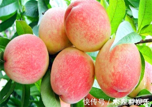 子宫|女性想要身体好,要坚持吃的食物,祛皱淡斑,预防子宫早衰