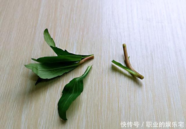 简单快手的凉拌菜,清爽开胃,营养又好吃