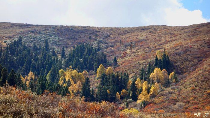 土路|嘎比甲蒙错之迷…三入达格则景区…看一处正在揭开神秘面纱的秋色