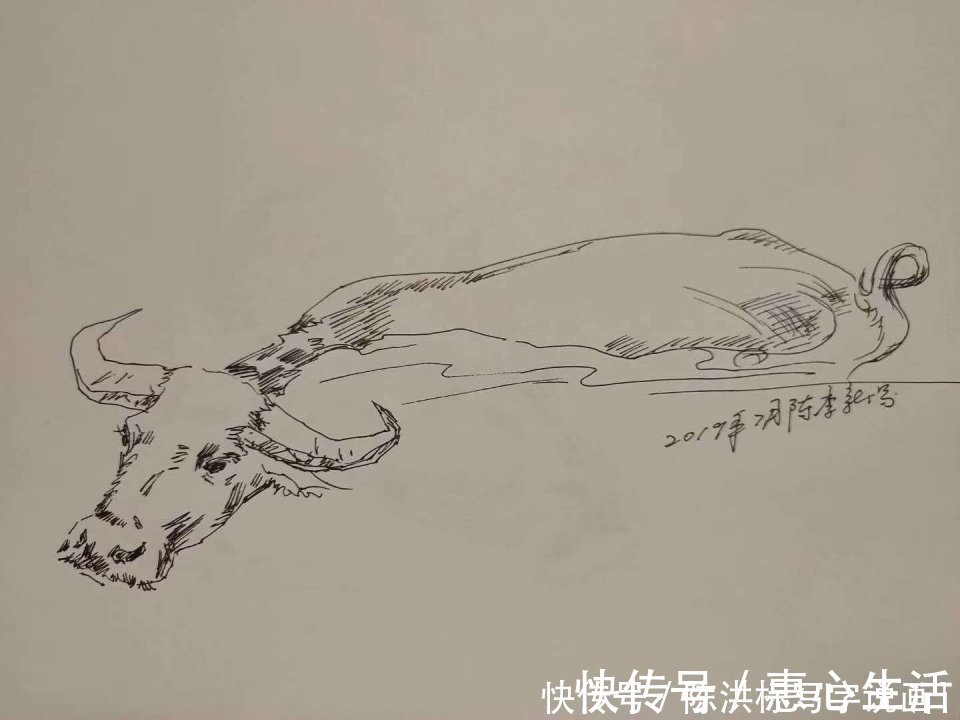 李可染#陈李新画牛，超过李可染等11位名家，是网友不懂艺术还是另有隐情