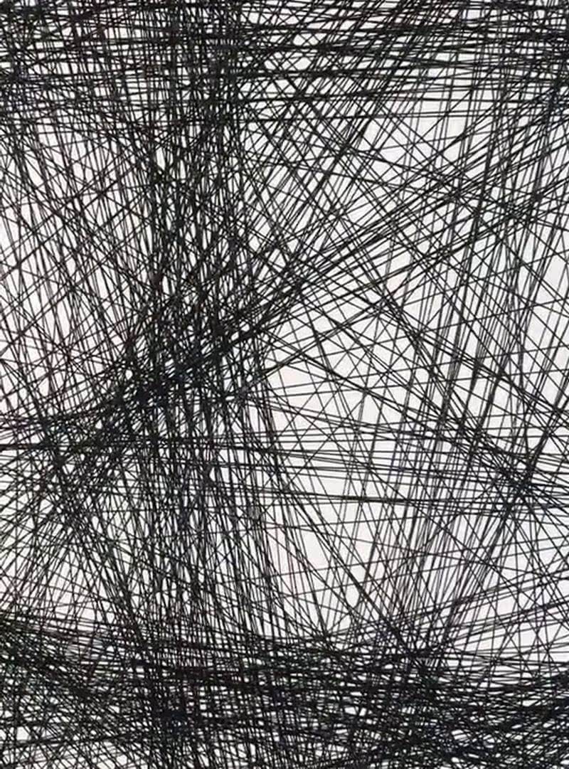 幅画作$美术生画纸上打满直线,还以为在“瞎画”,成画让网友惊艳