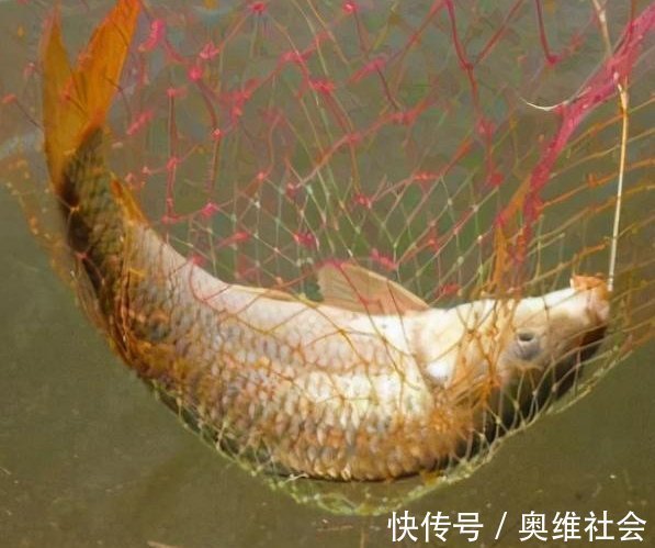 野钓没口有3点原因,对症下药,才能钓到大鱼!