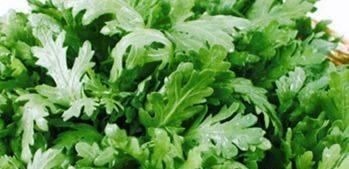 此菜炒鸡蛋，腰不痛了，健脾化湿，轻松甩掉大肚腩，可惜很多人没吃过