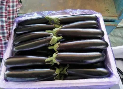 血脂异常|血脂高的人要远离豆腐？若想稳定血脂，3种“素食”或需打入冷宫