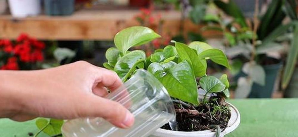 淘米水别再倒掉了，教你5个小窍门，一年省下几百块，太实用了